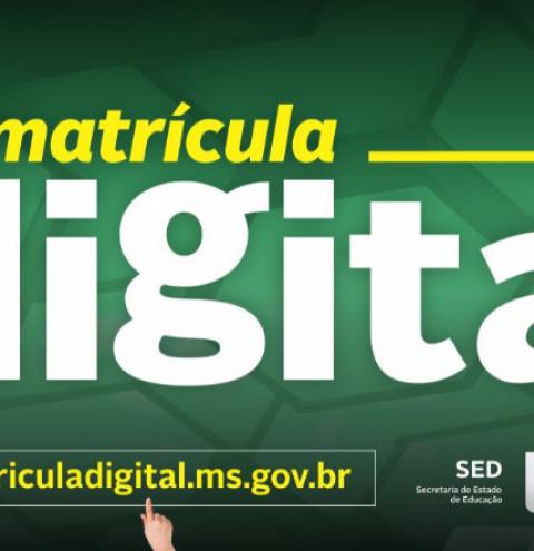 Matrícula Digital: 2º período de efetivação de matrículas da REE vai até sexta-feira